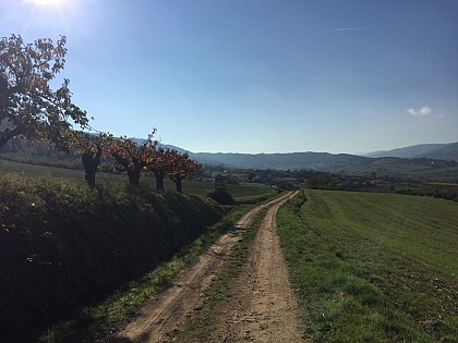 Vinzieux trail bleu