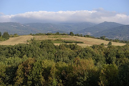 Vinzieux trail noir