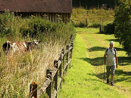 Au domaine rural