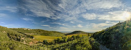 Randonnée Gardiole et Garrigue