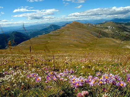 The peak of the Chiran Mountain