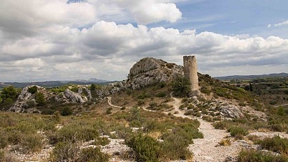 LE PARADOU - The Castillon Towers