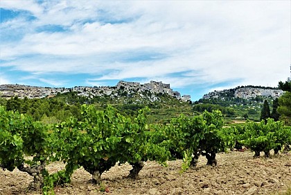 LES BAUX DE PROVENCE - The Baumayrane ridges