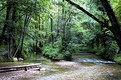 Randonnée pédestre : Marais des Bidonnes et Canal de Crans