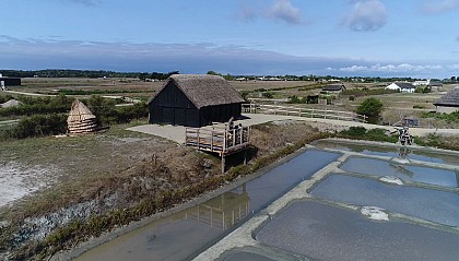 Daviaud Loop - La Barre de Monts / Fromentine