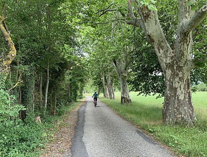 Plateau de Saint-Didier by bike