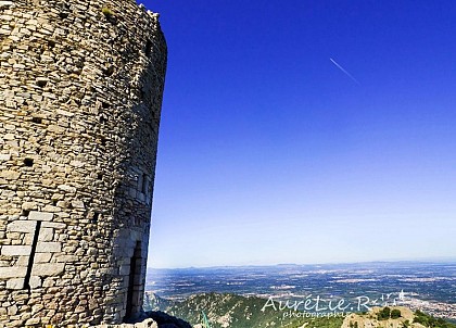 The Massane tower
