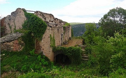 Hameau des Falguières