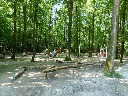 Balade et parcours d'activités en forêt de Seillon