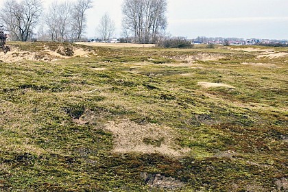 Fossil Dune Circuit