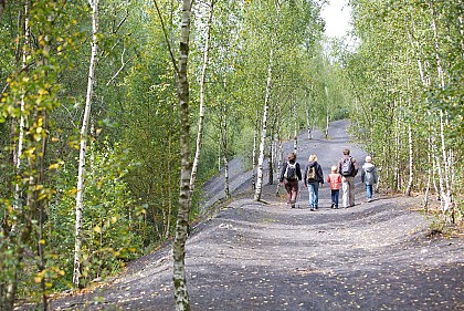 Circuit de Sabatier, la forêt, l'étang, le terril