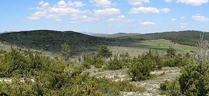 Le Causse