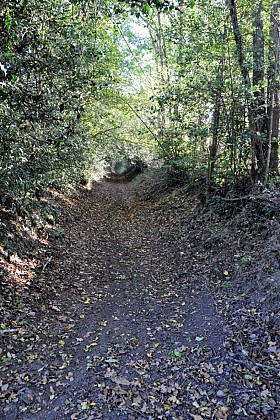 The Meanders of the Sarthe