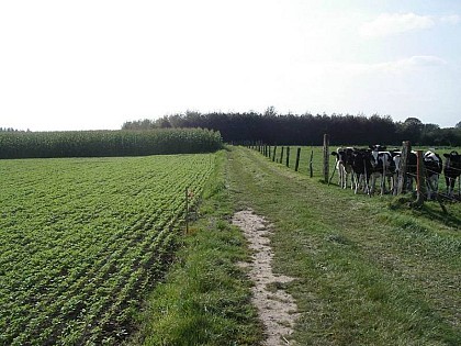 Circuit des Pépinières_variante