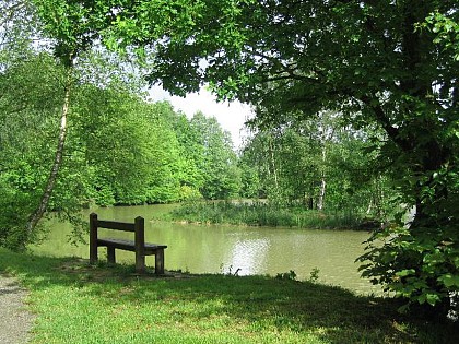 Hedgerow trail of Pommereuil