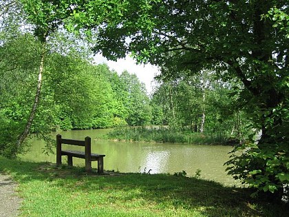 Sentier bocager de pommereuil