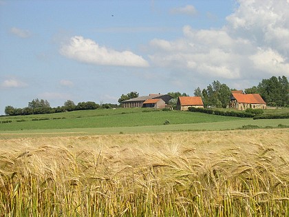 Trail of the Eeckout Veld