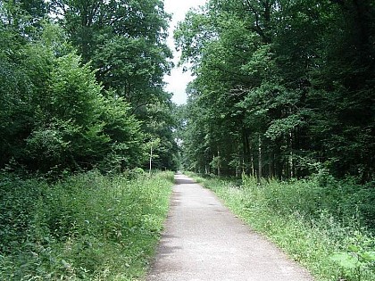 修道院游览 circuit de l'Abbaye