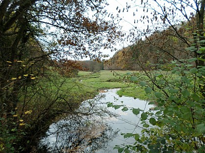 Circuit du bois de Groez