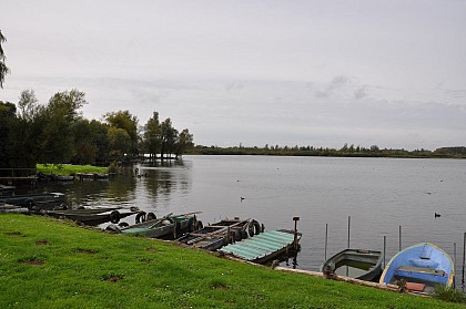 Autour des marais