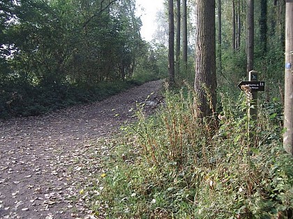 Les voyettes du val de marque_variante