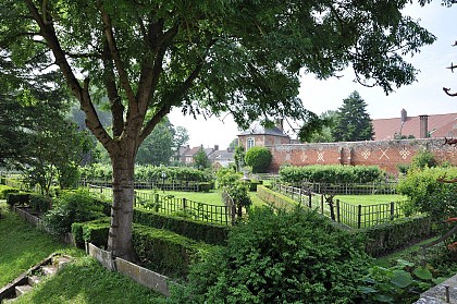 Des chênes au château