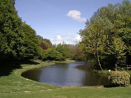 Circuit du Bois des Forts