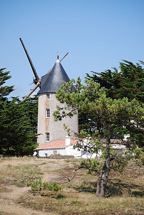 Passing by the mills - Noirmoutier Island