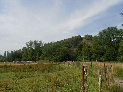 Sentier de l'arbre échelle