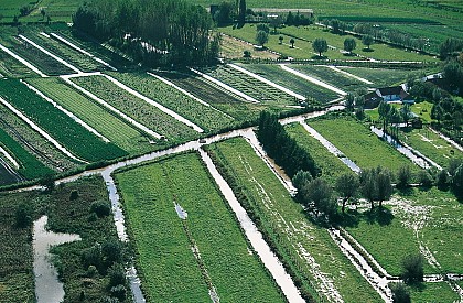 Du château à la forêt_variante