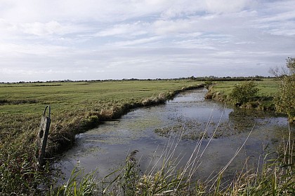 Le sentier d’interprétation du Marais de Machecoul