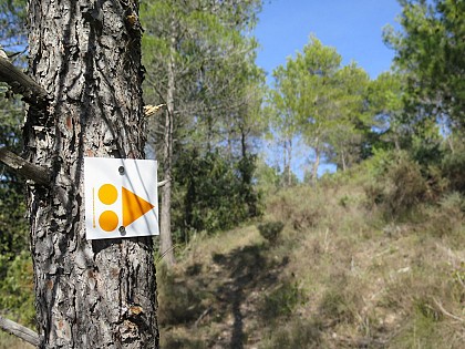 Parcours VTT sportif