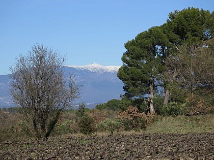 Randonnée pédestre à Pernes les Fontaines