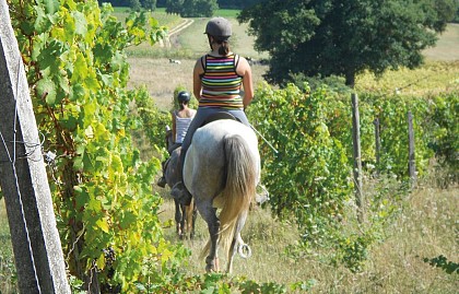 Moncaup : au cœur du Madiranais à cheval