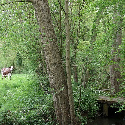 Vallée de la Claire