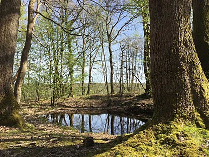 Le sentier du parc Laquerrière