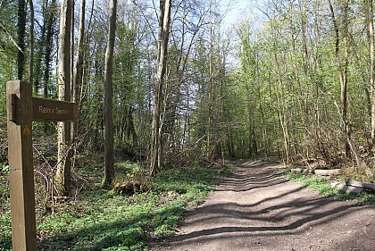 Le sentier du parc St-cyr