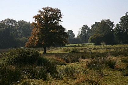 Boucle Champêtre