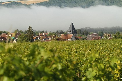Le balcon du Tonnerrois