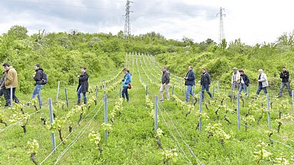 SENTIER DES OPHRYS Patrimoine historique et actuel