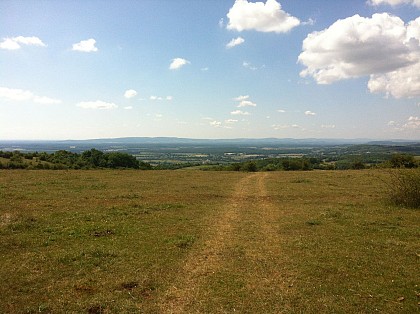 G4 GIVRY calvaires_vieilles_pierres_et_chaume_calcaire-1