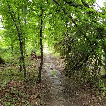 Circuit pédestre de la Côtière