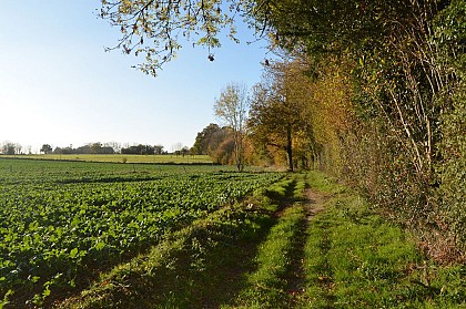 Chemin de la Douve aux Agneaux