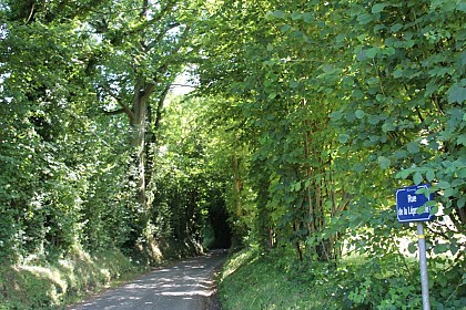 Chemin de l'Aubertine