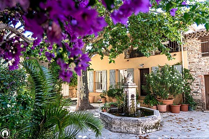 La balade des bougainvilliers