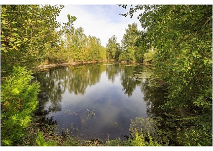 Le chemin de l'eau