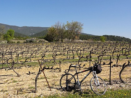 Stroll in the Durance Valley