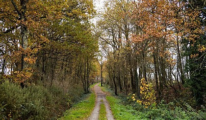 Voie verte de Teillay à Guipry-Messac