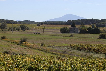 8 - Tour du Massif d'Uchaux à vélo