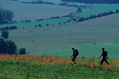 14-18 Sur les traces de la grande guerre